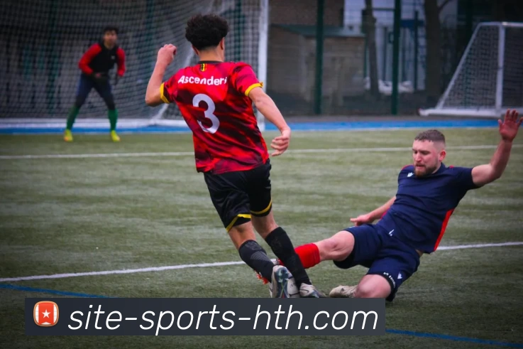 华体会平台生态图